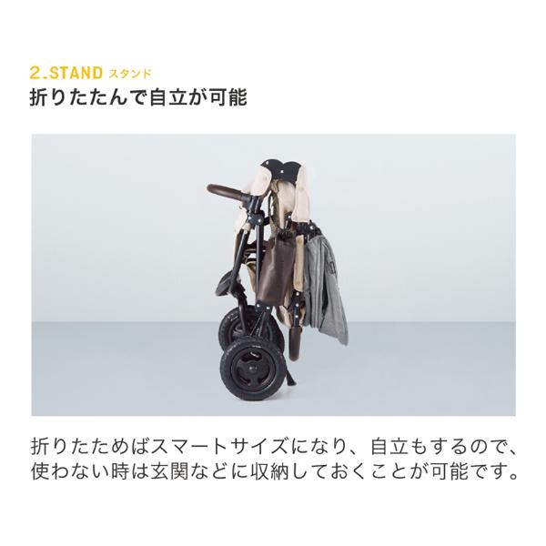 AIRBUGGY ベビーカー バギー 新生児 A型 エアバギー ココダブル