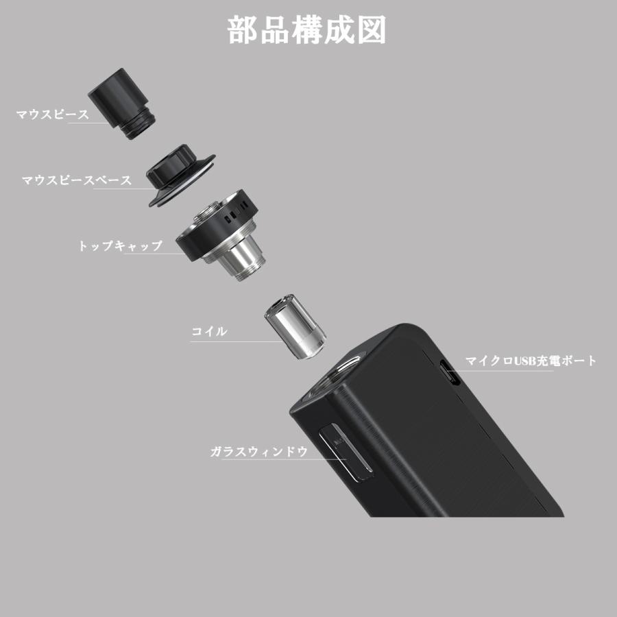 Joytech eGo AIO ProBOX ジョイテック プロボックス スターター
