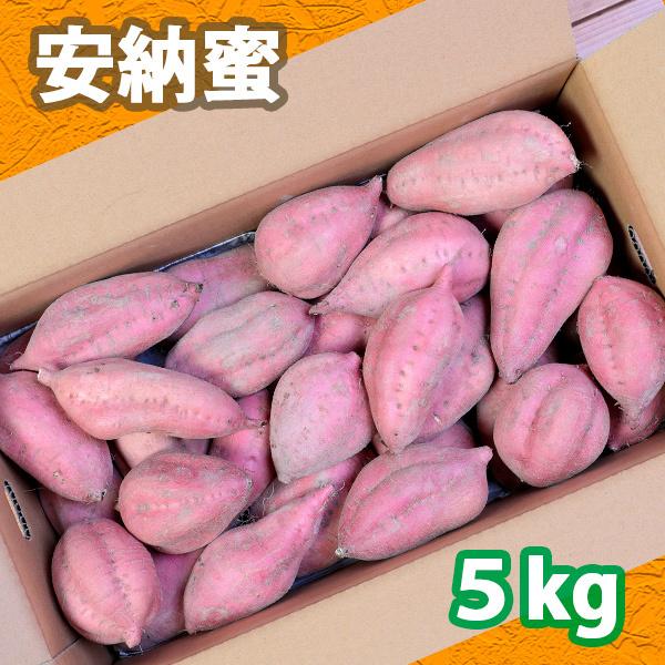 さつまいも　安納蜜5kg |  | 01