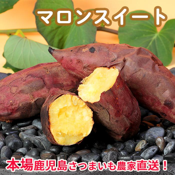 さつまいも マロンスイート5kg : 鹿児島さつま芋農家・桜山 さつまいも マロンスイート5kg : 鹿児島さつま芋農家・桜山