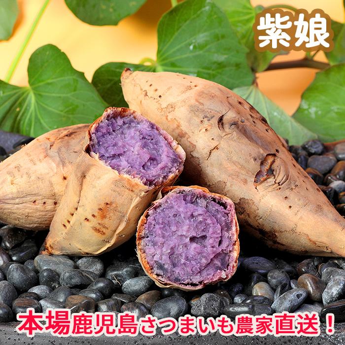 さつまいも 紫娘5kg : 鹿児島さつま芋農家・桜山ファーム - 通販