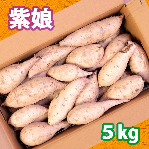さつまいも 紫娘5kg : 鹿児島さつま芋農家・桜山ファーム - 通販
