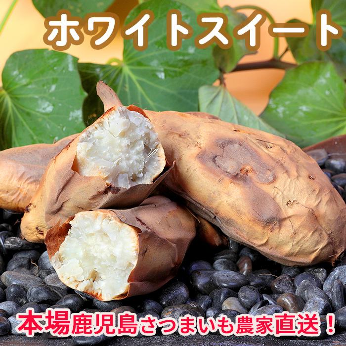 さつまいも　ホワイトスイート5kg | 