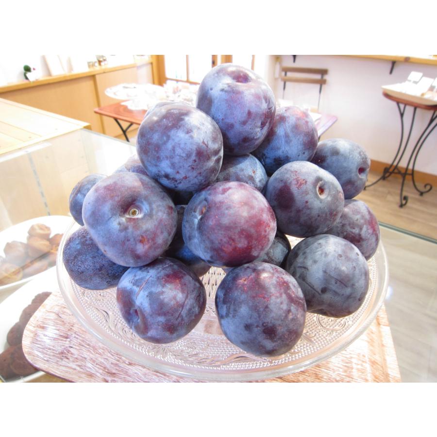 『岡山産 プルーン』 無添加・低糖度のコンフィチュール（ジャム）。岡山産のプルーンを使用。まさに今が旬の果物を食べているようなナチュラルな味わい｜sakurayamakabo｜02