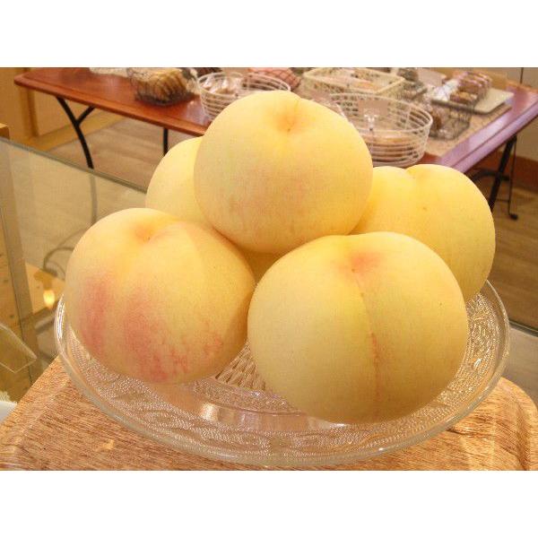 『岡山産 清水白桃』 無添加・低糖度のコンポート。岡山産の清水白桃を使用。旬の果実そのままの風味が生きています。｜sakurayamakabo｜03