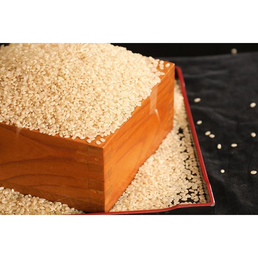 コシヒカリ 【新米】令和7年 魚沼産コシヒカリ 玄米30kg 魚沼市