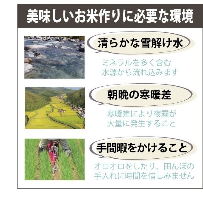 新米 お米 ギフト 令和５年産 魚沼産コシヒカリ 無洗米 5kg 送料無料   農家直送｜sakurayanouen｜03