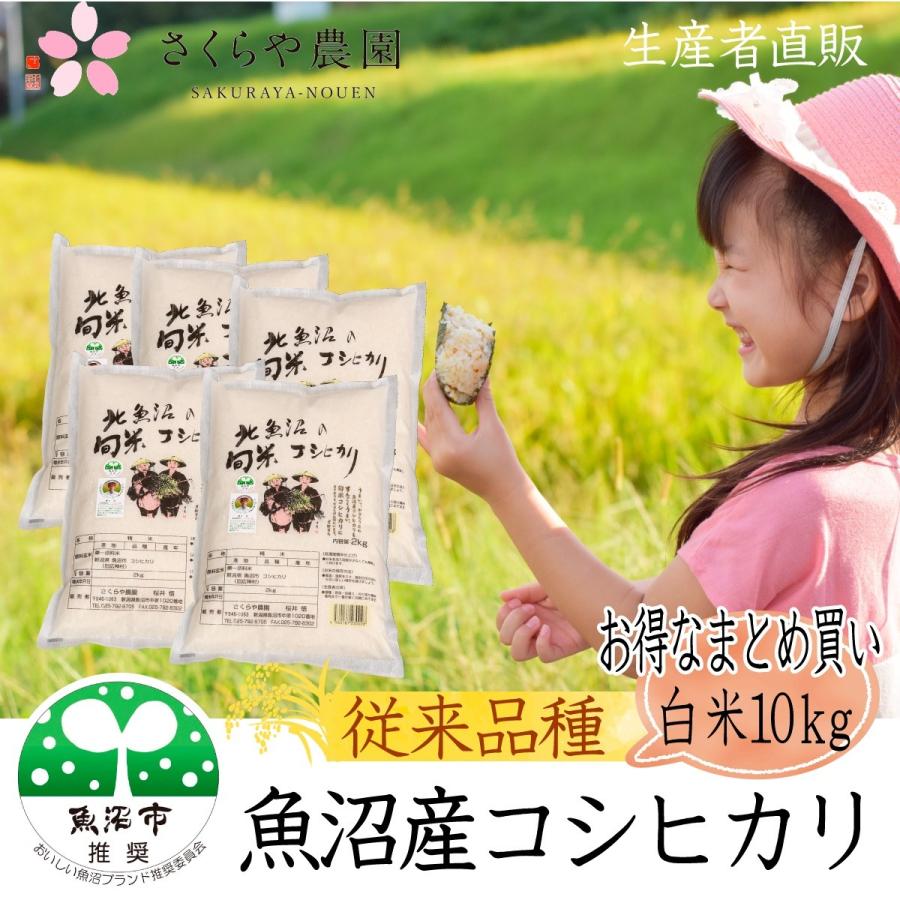 コシヒカリ 【新米】農家直売 魚沼産コシヒカリ 白米 10kg（2kg×5袋