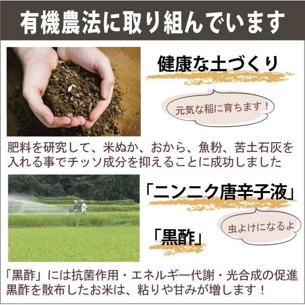 コシヒカリ 【新米】農家直売 お米3kg 小袋 2合×10袋 魚沼産コシヒカリ