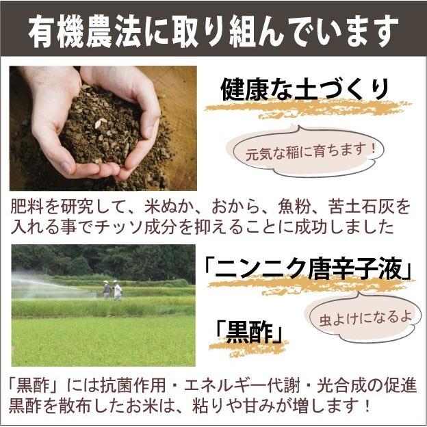 農家直売  魚沼産コシヒカリ 無洗米  5kg  魚沼市推奨ブランド米認定 令和５年産｜sakurayanouen｜04