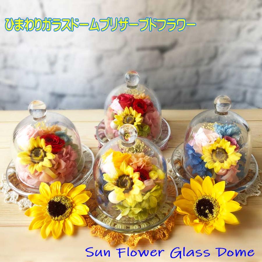 お気に入りの 数量限定カラーレースプレゼント 選べるタグチャーム付きひまわり入りガラスドームプリザーブドフラワー Aynaelda Com