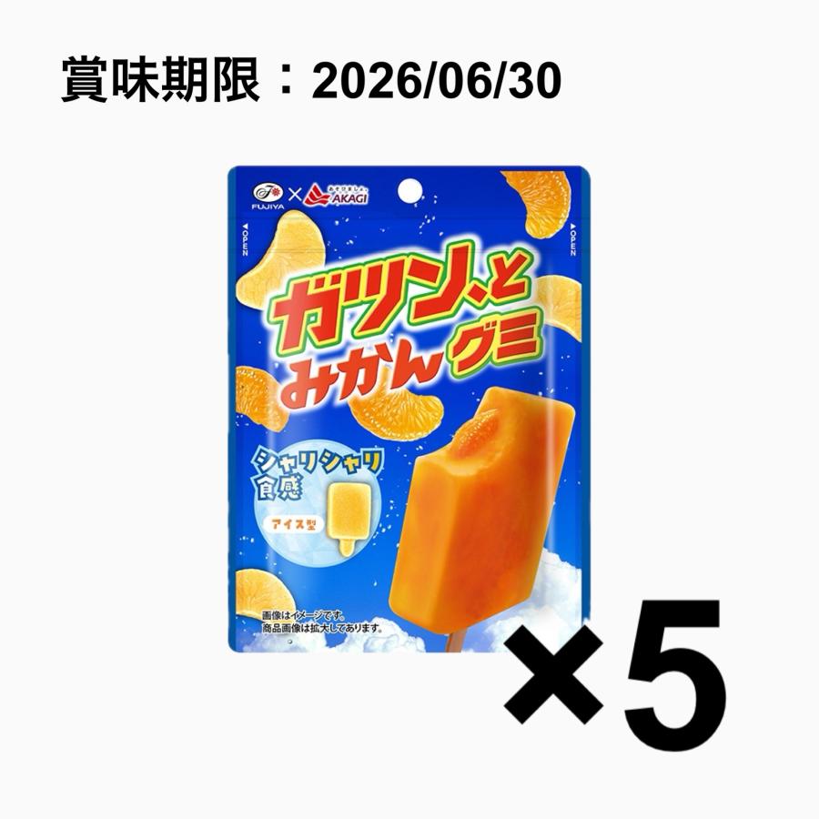 ぐみ 訳あり／賞味期限：2026/06/30〉【 ガツン、とみかん グミ 53g×5袋