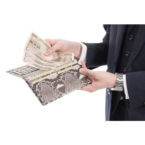 パイソン レザー 長財布 ニシキヘビ マットバック カット 錦蛇 本革 