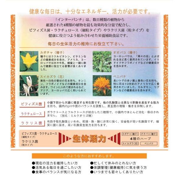 インターパンチ  アサヒグループ食品 免疫力 アサヒグループ食品 【健食】インターパンチS 540錠【アアサヒグループ