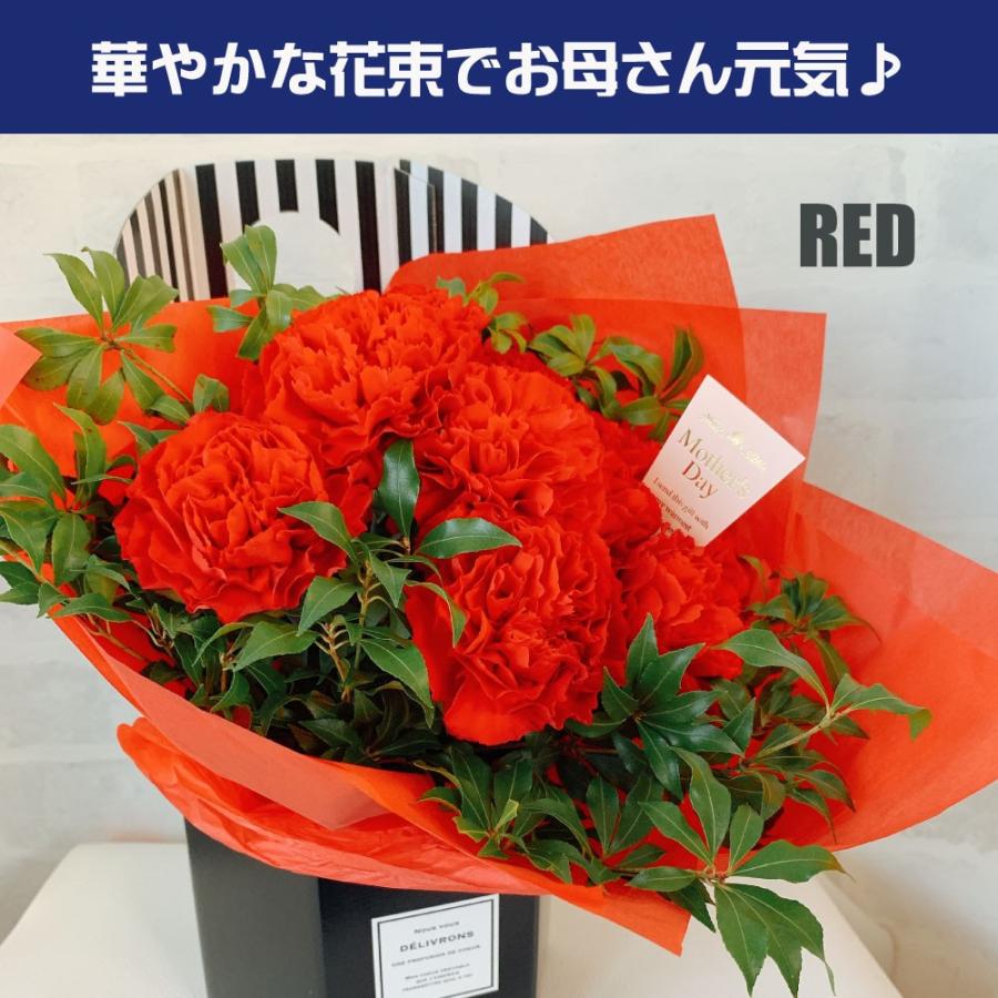 母の日 2024 カーネーション プレゼント 人気 ギフト 花 花束シンプル おすすめ 喜ばれる 笑顔 赤ピンク 花瓶不要 ブーケ｜sakuya｜04