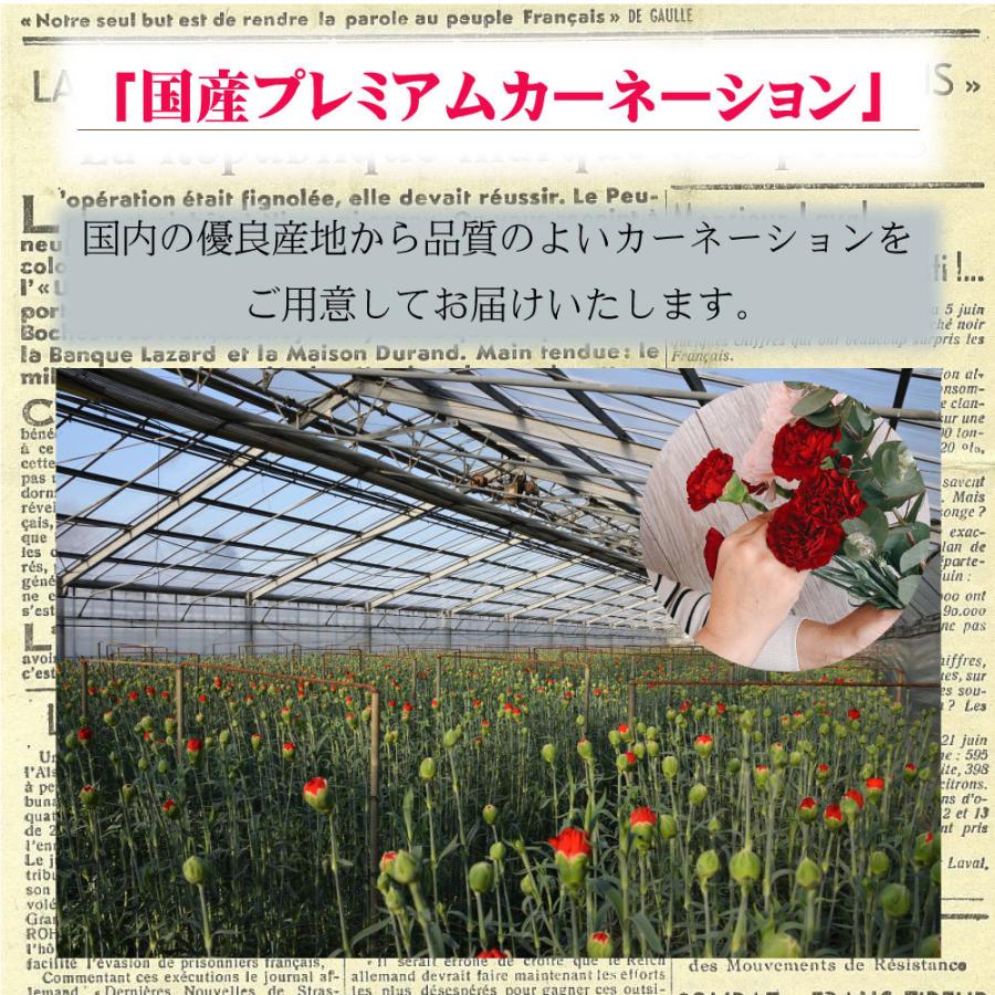 母の日 2024 カーネーション プレゼント 人気 ギフト 花 花束シンプル おすすめ 喜ばれる 笑顔 赤ピンク 花瓶不要 ブーケ｜sakuya｜13