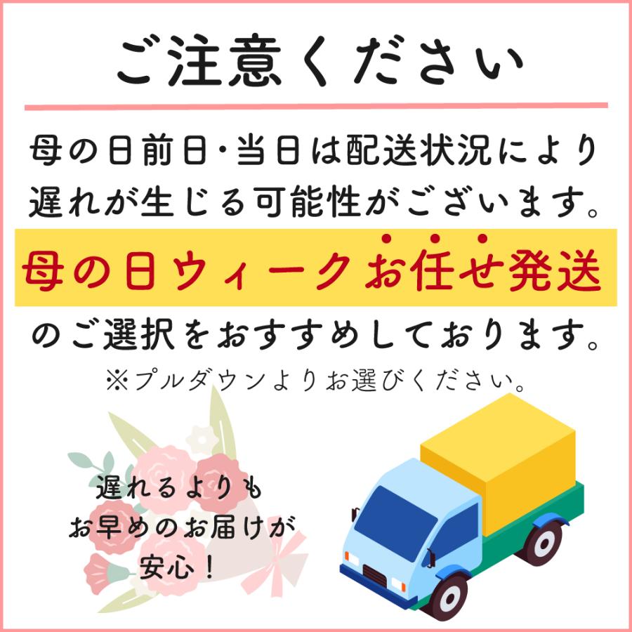 母の日 2024 カーネーション プレゼント 人気 ギフト 花 花束シンプル おすすめ 喜ばれる 笑顔 赤ピンク 花瓶不要 ブーケ｜sakuya｜16