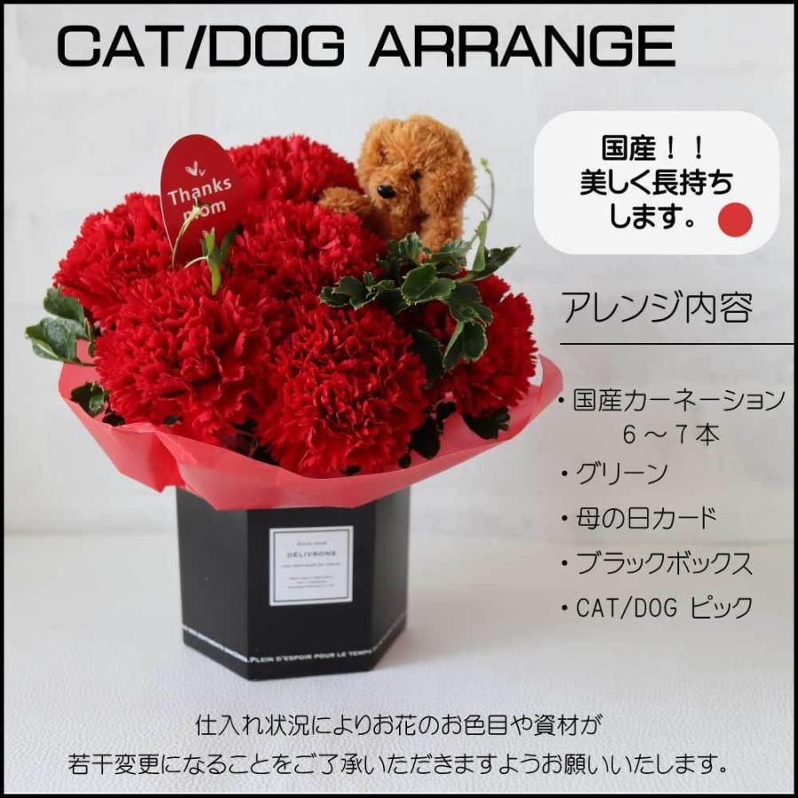 最大72 オフ カーネーション プレゼント ギフト 花 アレンジ 大人気 黒 猫 犬 茶色 白 ボックス おすすめ 喜ばれる 笑顔 かわいい カード付 人気商品 Wantannas Go Id