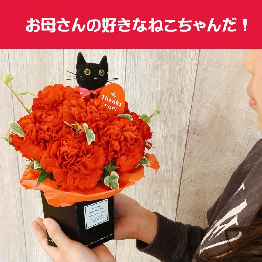 最大72 オフ カーネーション プレゼント ギフト 花 アレンジ 大人気 黒 猫 犬 茶色 白 ボックス おすすめ 喜ばれる 笑顔 かわいい カード付 人気商品 Wantannas Go Id