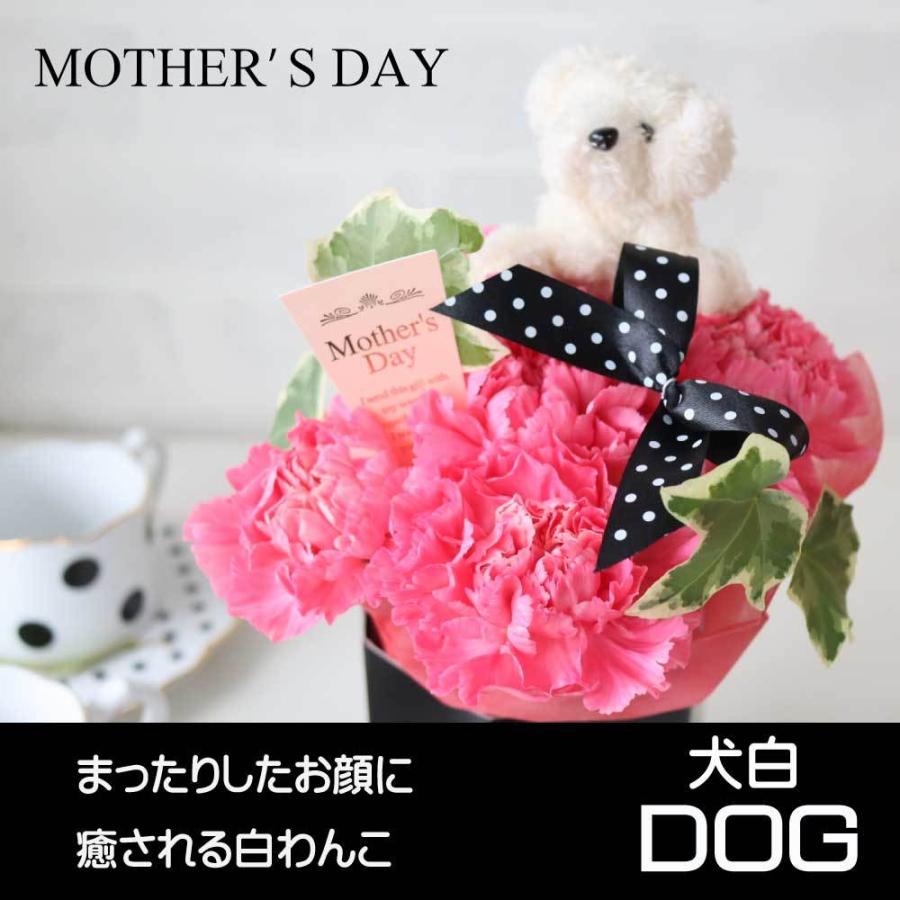 最大72 オフ カーネーション プレゼント ギフト 花 アレンジ 大人気 黒 猫 犬 茶色 白 ボックス おすすめ 喜ばれる 笑顔 かわいい カード付 人気商品 Wantannas Go Id