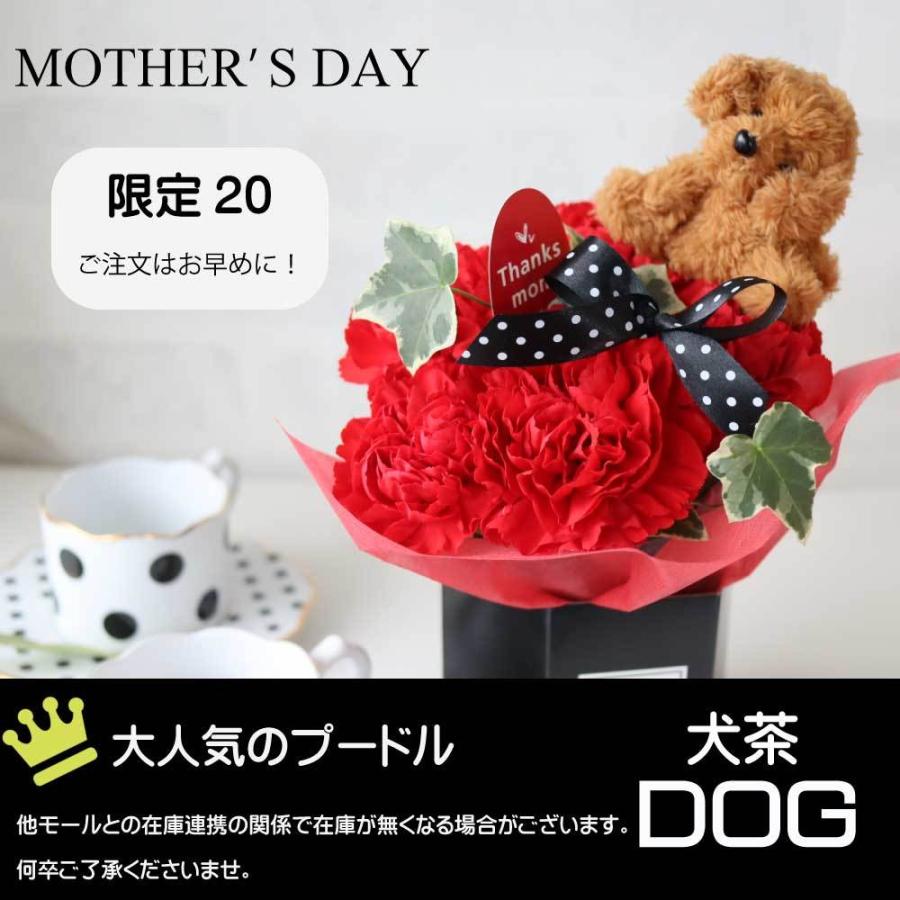 最大72 オフ カーネーション プレゼント ギフト 花 アレンジ 大人気 黒 猫 犬 茶色 白 ボックス おすすめ 喜ばれる 笑顔 かわいい カード付 人気商品 Wantannas Go Id