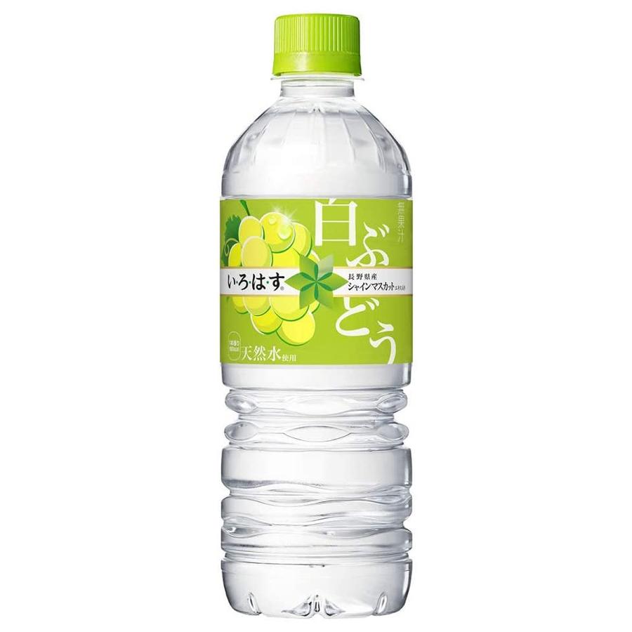 2ケース コカコーラ い ろ は す 白ぶどう Pet 555ml 飲み物 ソフトドリンク ペットボトル 24本 2ケース 48本 買い回り 買い周り 買いまわり ポイント消化 Morenotafurt Com