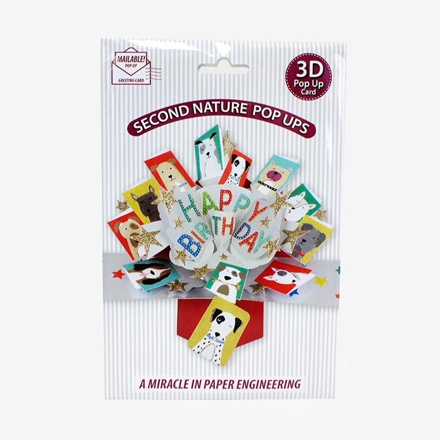 バースデーカード メッセージ入り おもしろバースデーカード 絵葉書 グリーティングカード 誕生日 3dポップアップカード メッセージカード おしゃれ かわいい Secnat Pop137 Salada Bowl おしゃれブランド通販 通販 Yahoo ショッピング