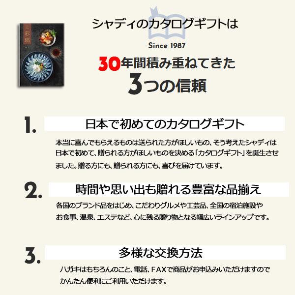 カタログギフト 記念品 景品 プレゼント お得 割引 送料無料 人気 出産祝 出産 御祝 結婚 結婚内祝 内祝 香典返し グルメ 香典 BIR_AOO｜salala-g｜02