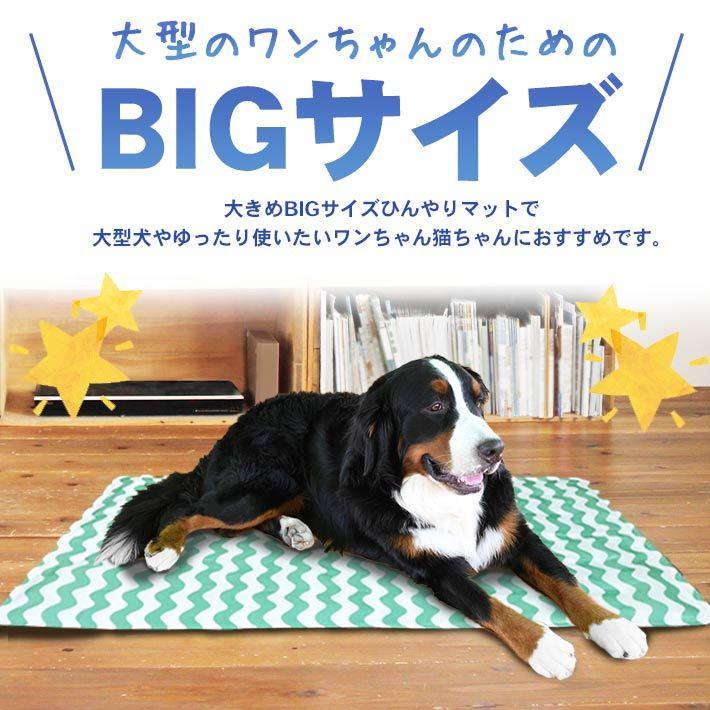 ペット用 ひんやり マット 超大型 Xlサイズ 90cm 60cm 猫 小型犬 中型犬 大型犬 ファミリーサイズ 防水加工 冷感 クール シート Co457 Xl セールストア Yahoo 店 通販 Yahoo ショッピング