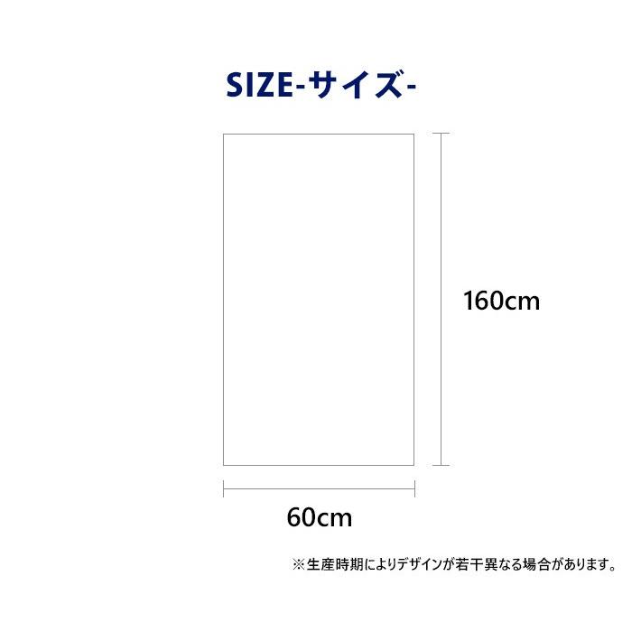 高品質 洗車タオル マイクロファイバー 大判 × 超吸水 超速乾 160cm