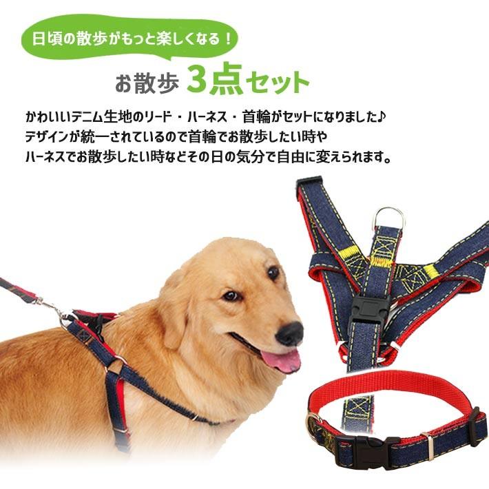 リード ハーネス 首輪 お散歩3点 セット XLサイズ 大型犬用 「全