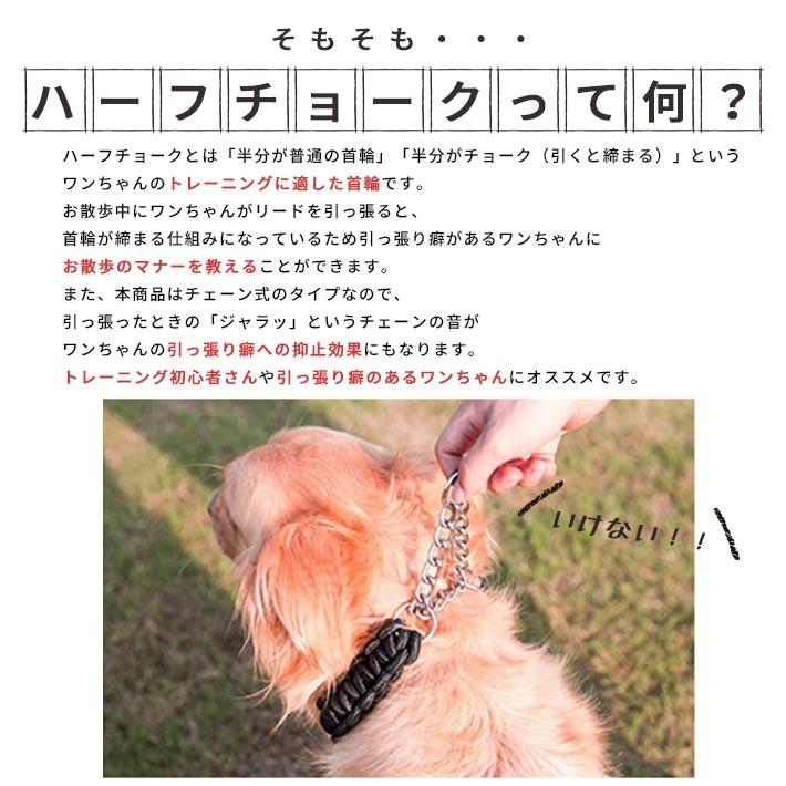 ハーフチョーク ＋ リードセット 大型犬 首輪「全4色」Lサイズ 丈夫な