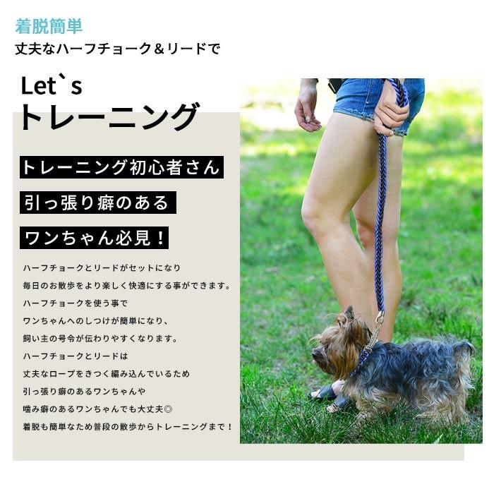 ハーフチョーク ＋ リードセット 小型犬 首輪「全4色」Sサイズ 丈夫な
