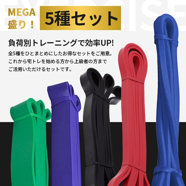 トレーニング チューブ リング ロング 210cm【負荷別 メガ盛り5本