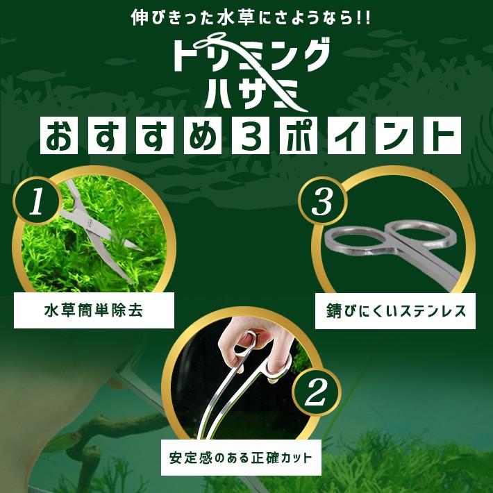 水槽用 トリミング ハサミ S字 波型 ウェーブ カーブ 水草カット