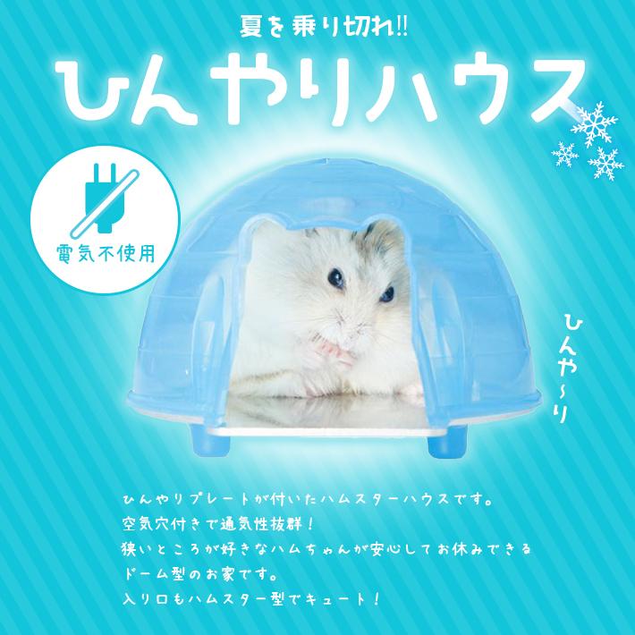 ハムスター ひんやり ハウス 全3色 ひんやりプレート シースルードーム 分解可能 通気性 冷感 お家 丸洗いok Co6 セールストア Yahoo 店 通販 Yahoo ショッピング