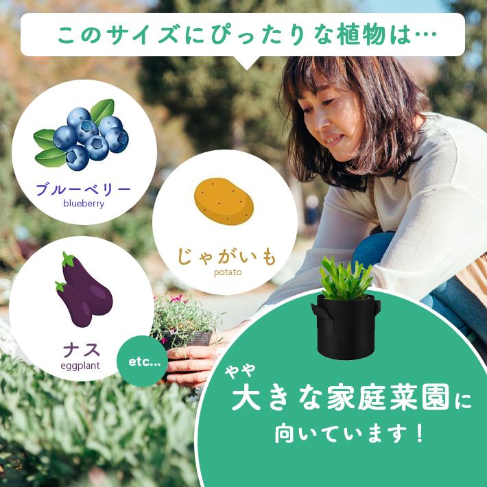 不織布 プランター 【5個セット 全2色】 家庭菜園 大型 軽量 10ガロン 12ガロン 15ガロン 布植木鉢 栽培袋 ガーデニング 園芸用品｜sale-store｜10