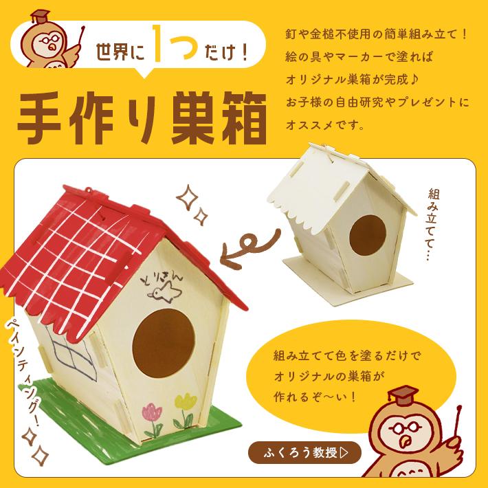 「普通郵便で送料無料」工作キット お絵かき鳥の巣箱 「子供向け説明書付き 選べる2タイプ」 夏休み 小学生 自由研究 低学年 高学年 男の子 女の子 バードハウス｜sale-store｜02