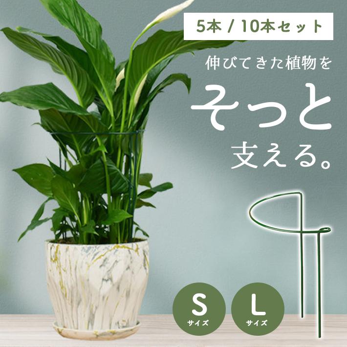 花 ささえ 支柱 ジョイント不要 10本セット 幅25×高40×奥12cm フラワー