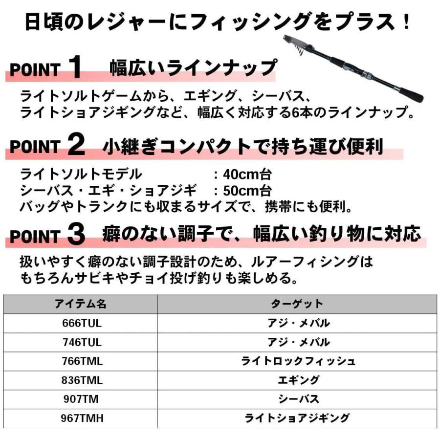 豪華4点セット シーバス エギング アジング ちょい投げ セット 直営の