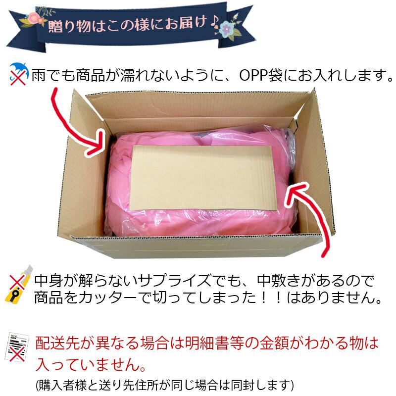 ぬいぐるみ もちもち 大きい 特大 抱き枕 特大ぬいぐるみ クマ リス 