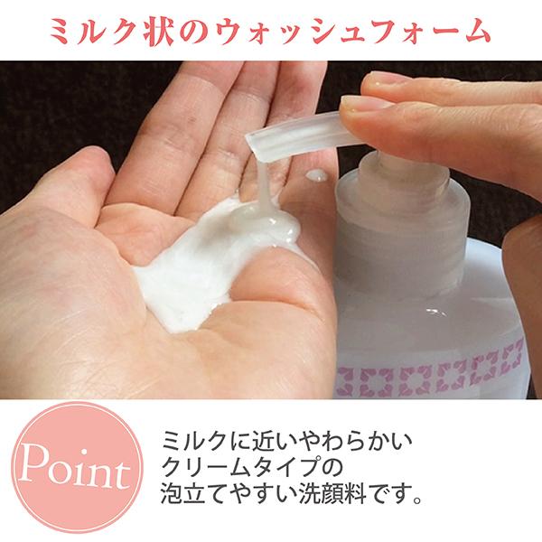 ウォッシュフォーム (洗顔料 ミルクタイプ) 業務用 450ml (角質 ウォッシュフォーム (洗顔料 ミルクタイプ) 業務用 450ml (角質