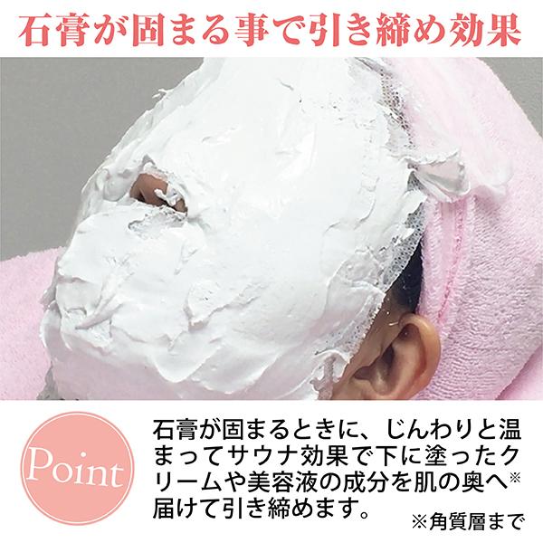 [831新品未開封]POLA エステプロ AP 石こうマスク 230g 5個 831新品未開封]POLA エステプロ AP 石こうマスク 230g 5個