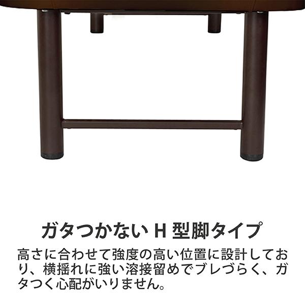 FV-220-H マッサージベッドBASIC DXオメガ式 H型脚 2色（アイボリー 