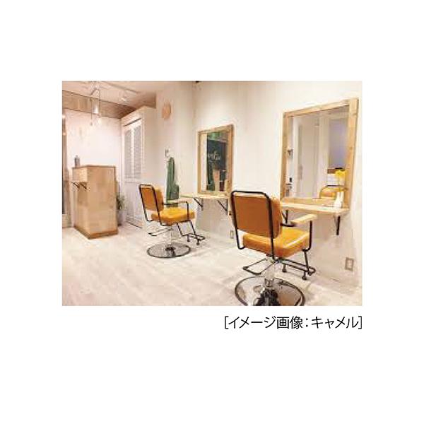 スタイリングチェア SINTI(シンティ) FV-1631 アーバン 天然木