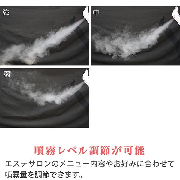 NEO-088 ソニアネオスチーマー タイマー機能付き 角度調整可能 オゾン