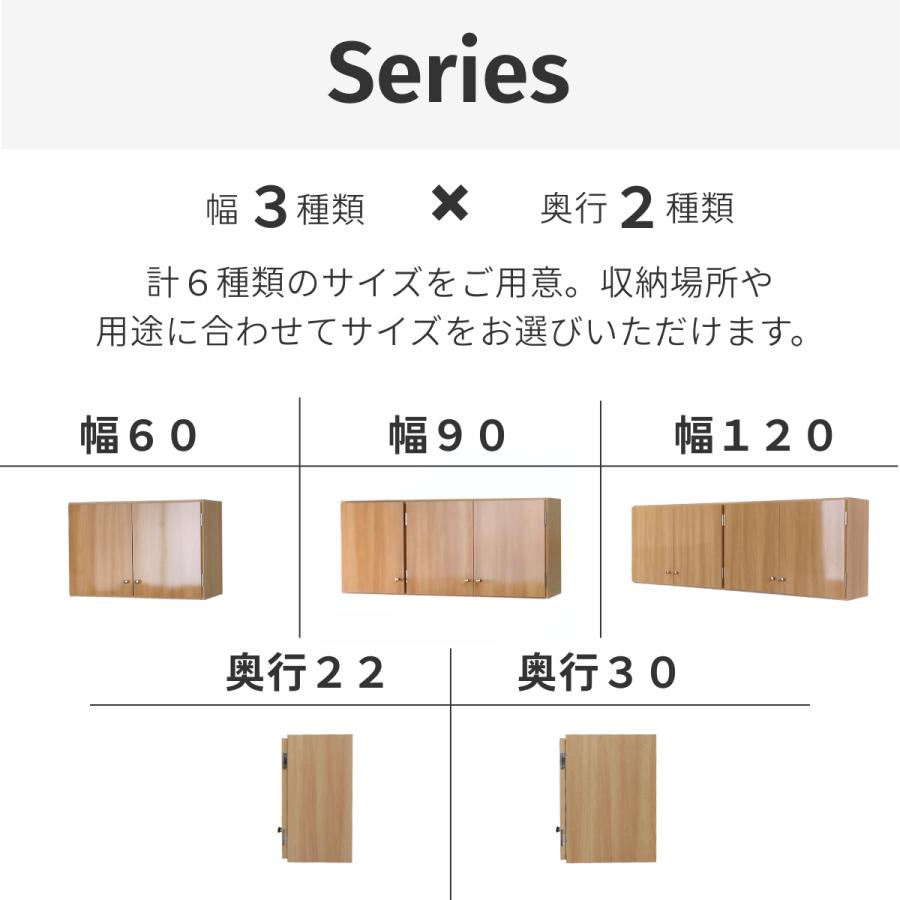 鏡面扉 吊戸棚 幅60L(奥行30) 完成品 日本製 国産 送料無料 鏡面 光沢