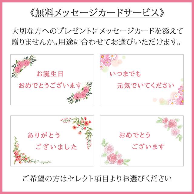 イヤリング 50代 60代 70代 ハウライトターコイズ スワロフスキー 大ぶり ギフト プレゼント  入学式 卒業式｜salondejewelry｜10