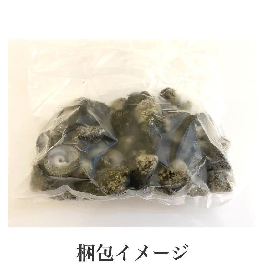 期間限定お試し価格 ビナ貝の塩茹で シッタカ ミナ 黒ミナ 500g 福岡県産 冷凍 クール便 Supplystudies Com
