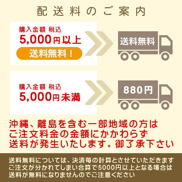 グッドフィールシャンプー 1000ml ディスペンサー ボトル 弱酸性 アミノ酸 頭皮ケア ダメージケア くせ毛 サラサラ 抜け毛 メンズ 送料無料 |  | 08